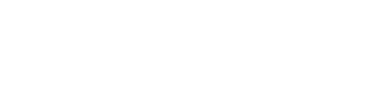 Insubux logo